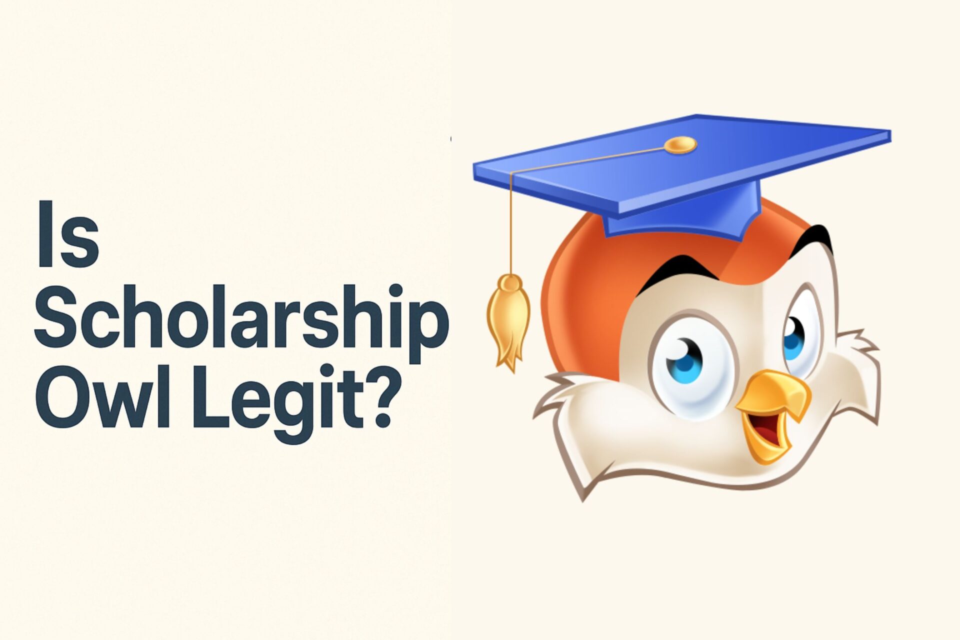 Is Scholarship Owl Legit? Let’s Find Out!